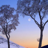 Wintertime In Glen Loch, United Kingdom