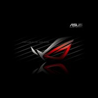 Asus rfvtgbyhn