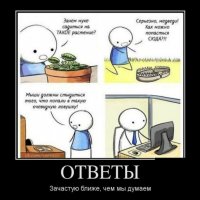 Ответы