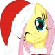 merry christmas from fluttershy by phoen