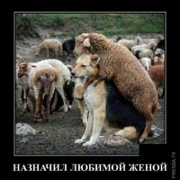 Назначил любимой