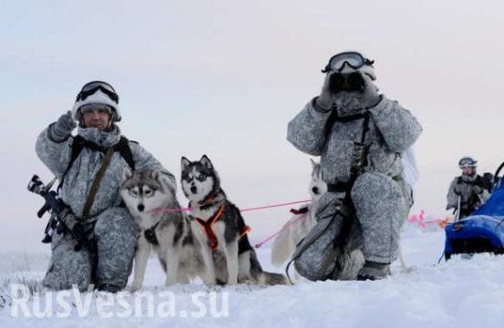 rossiyskie voennye i haski arktika