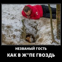 Незваный гость