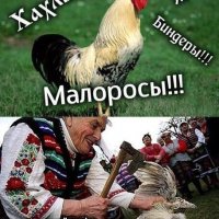 приколы 7HD3o