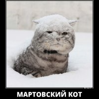 Мартовский кот