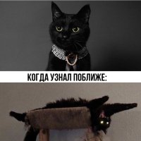 -smeshnyh-kommentariev-iz-socialnyh-setej-00