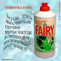 Fairy