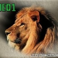 Leo1