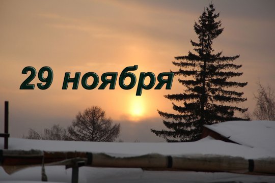 29 ноября