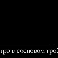 Утро в сосновом гробу