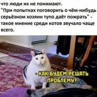 Люди не понимают котов