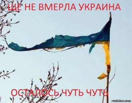 ne-vmerla-flag