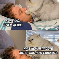 КотЭ)