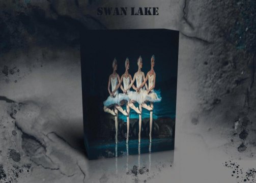 SWAN LAKE(BEAT)