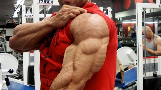 triceps