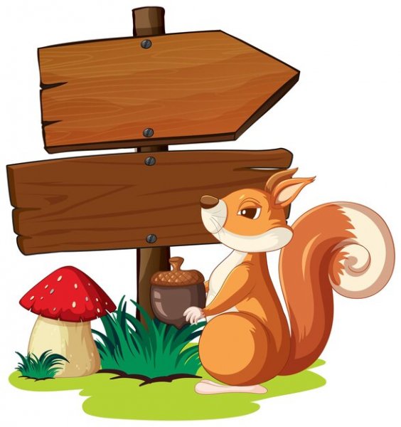 Squirrel-standing-by-wooden-signs 1308-107354