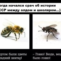 Срач