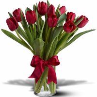 Download-Free-Tulip-Flower-Bouquet1