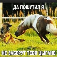 приколы 094050