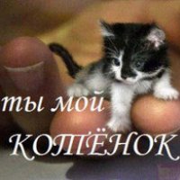 Ты мой котенок