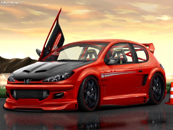 Peugeot 206 by aykutdesign