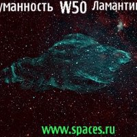 W50.туманность ламантины