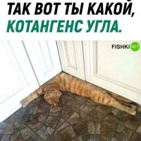 КОТангенс угла