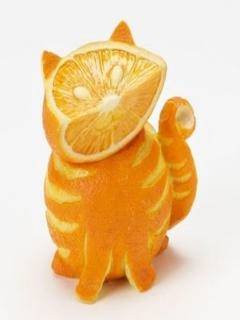 fruit-and-vegetable-cat-3-