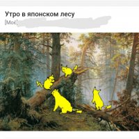 покемоны 000510