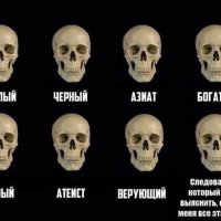 Коллекция