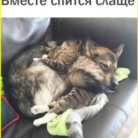 Bместе слаще спится