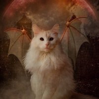 demon cat by sprsprsdigitalartda66gn