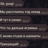 Шахматисты