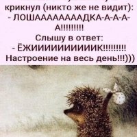 Лошадкаааааааа