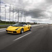 lamborgini gallardo zhyoltyj kabr