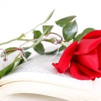 depositphotos 49665225-stock-photo-book-and-red-rose-with