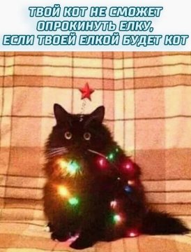 КотЭ)