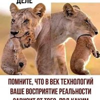 IMG Удачный прикол)