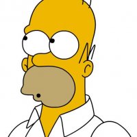 homer simpson