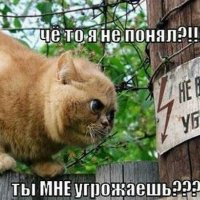 Ты мне угрожаешь