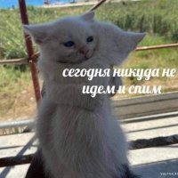 Сегодня спим