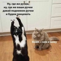 КотЭ)