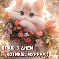 Изображение viber 2024-03-01 08-41-24-446