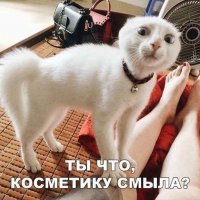 КотЭ)