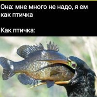 Я ем как птичка