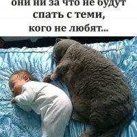 Кошки-это вам не люди...