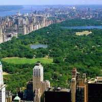 central-park-new-york-wallpaper