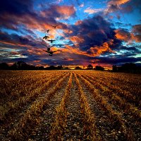 1-autumn-rising-phil-koch