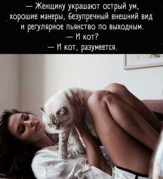 И кот, разумеется