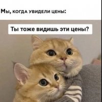 КотЭ)